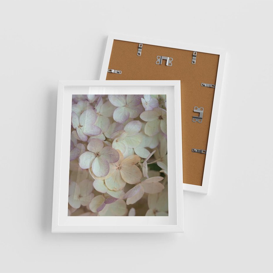 Plakat w ramie 40x50 - Kwiatowy taniec - kwiaty, hortensje - rama biała