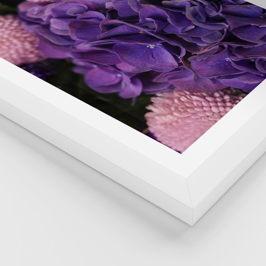 Plakat w ramie 30x40 - Fioletowa hortensja - kwiaty, hortensja - rama biała