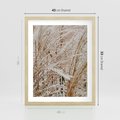Plakat w ramie 40x50 - Beżowa Trawa - suche trawy, zbliżenie - rama drewno