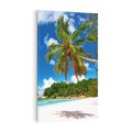 Obraz na płótnie 80x120 - Oaza palm na plaży - palma, plaża