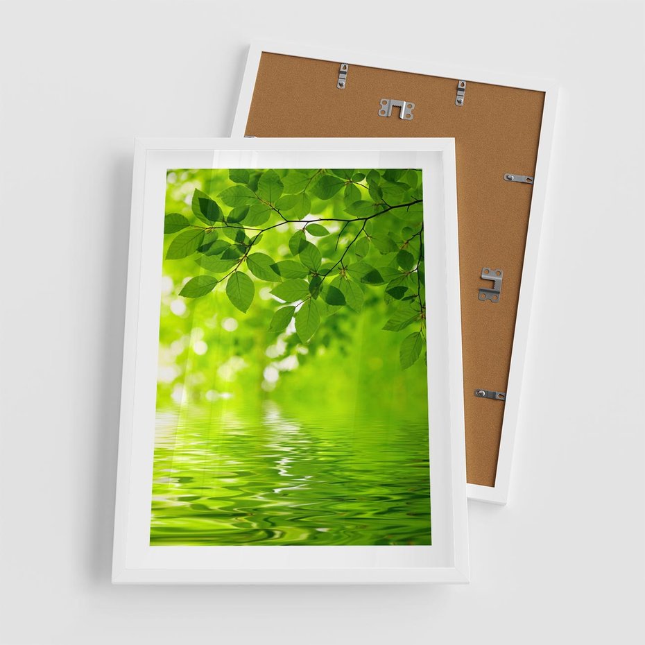 Plakat w ramie 50x70 - Liście w Wodzie - liście, woda - rama biała