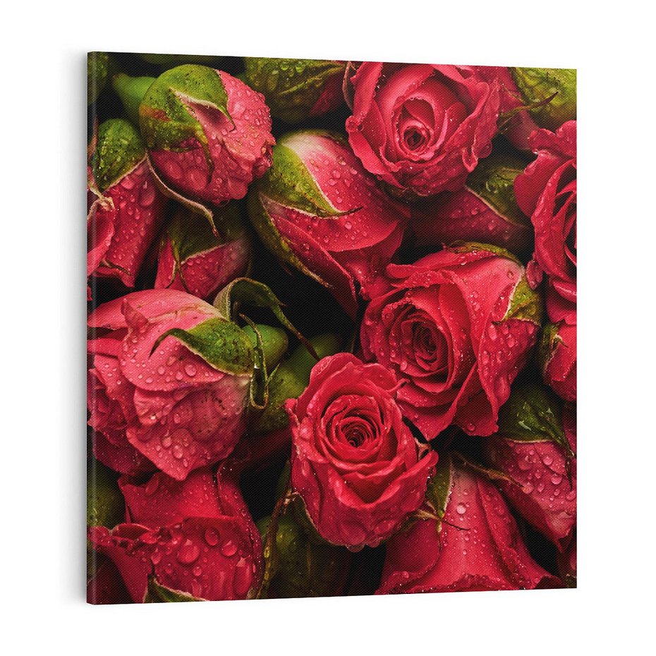 Obraz na płótnie 70x70 - Piękno róż: delikatność natury - róże, kwiaty