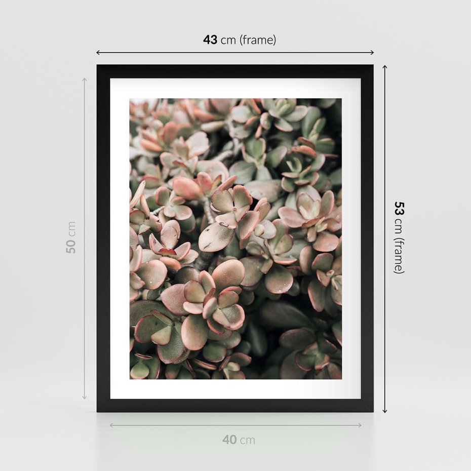 Plakat w ramie 40x50 - Sukulentowa Prostota - sukulenty, zielone liście - rama czarna