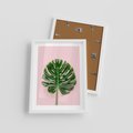 Plakat w ramie 30x40 - Monstera w Różowym Świetle - liść monstery, różowe tło - rama biała