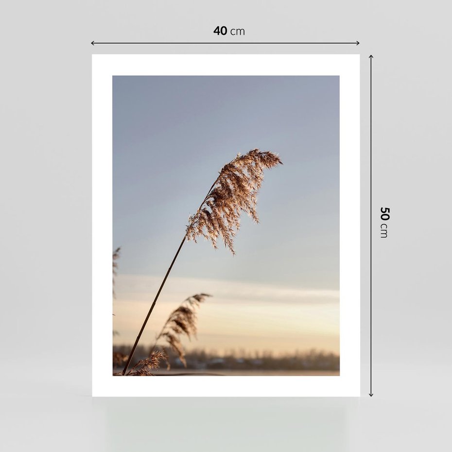 Plakat bez ramy 40x50 - Naturalna Delikatność - trawy, boho