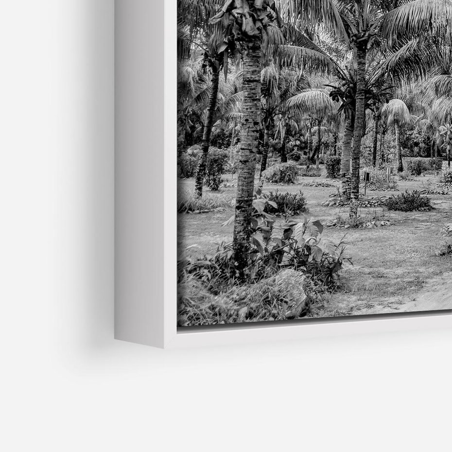 Obraz w ramie 80x80 - Mroczna Ścieżka Tropików - czarno biała fotografia, ścieżka pośród palm - rama biała