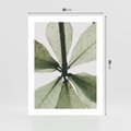 Plakat bez ramy 30x40 - Jasna Zieleń w Makro - makro zdjęcie liści, jasna zieleń