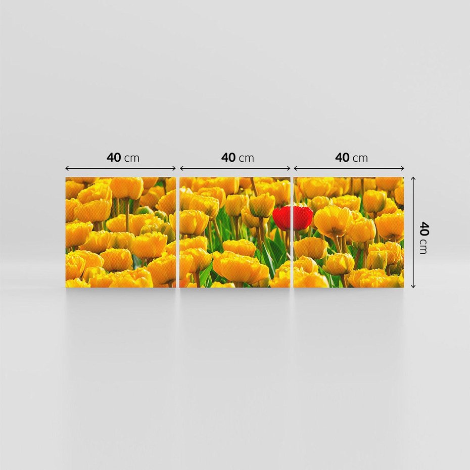 Obraz na płótnie 120x40 - kwiatowa elegancja - tulipany, kwiat