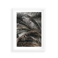 Plakat w ramie 30x40 - Liściaste Palmy - palmy, drzewa palmowe - rama biała