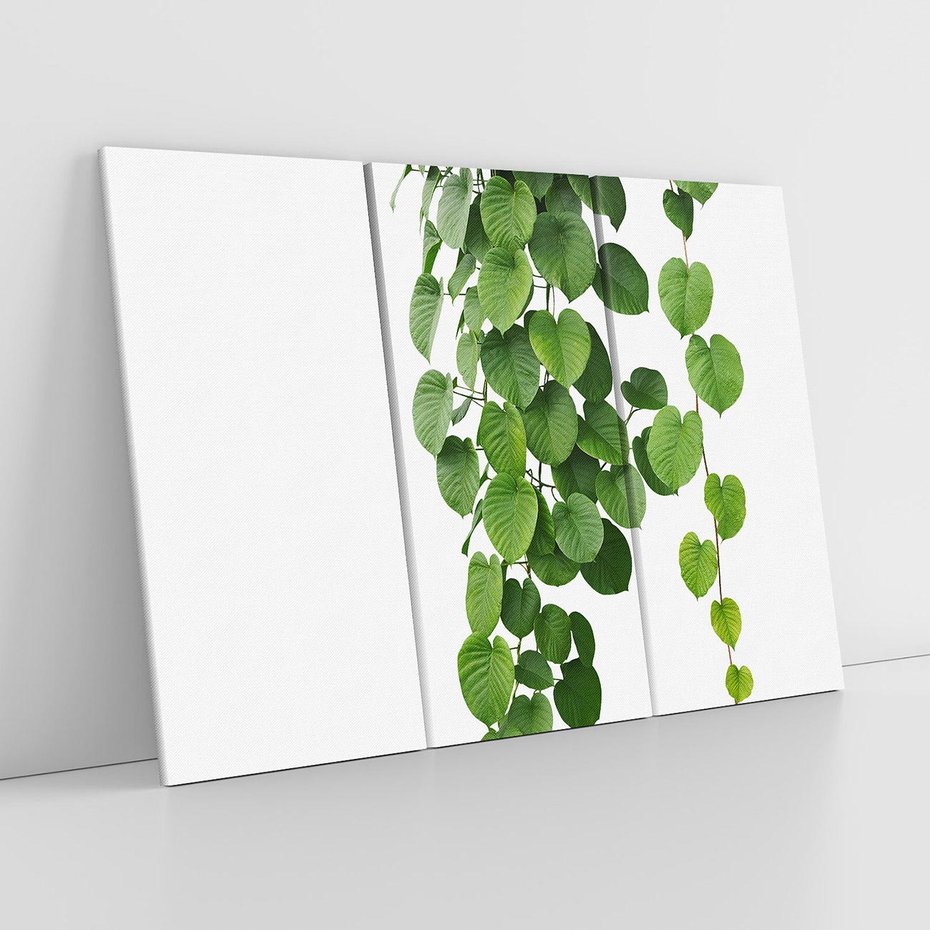 Obraz na płótnie 120x80 - Świeżość Natury - liście, zielone