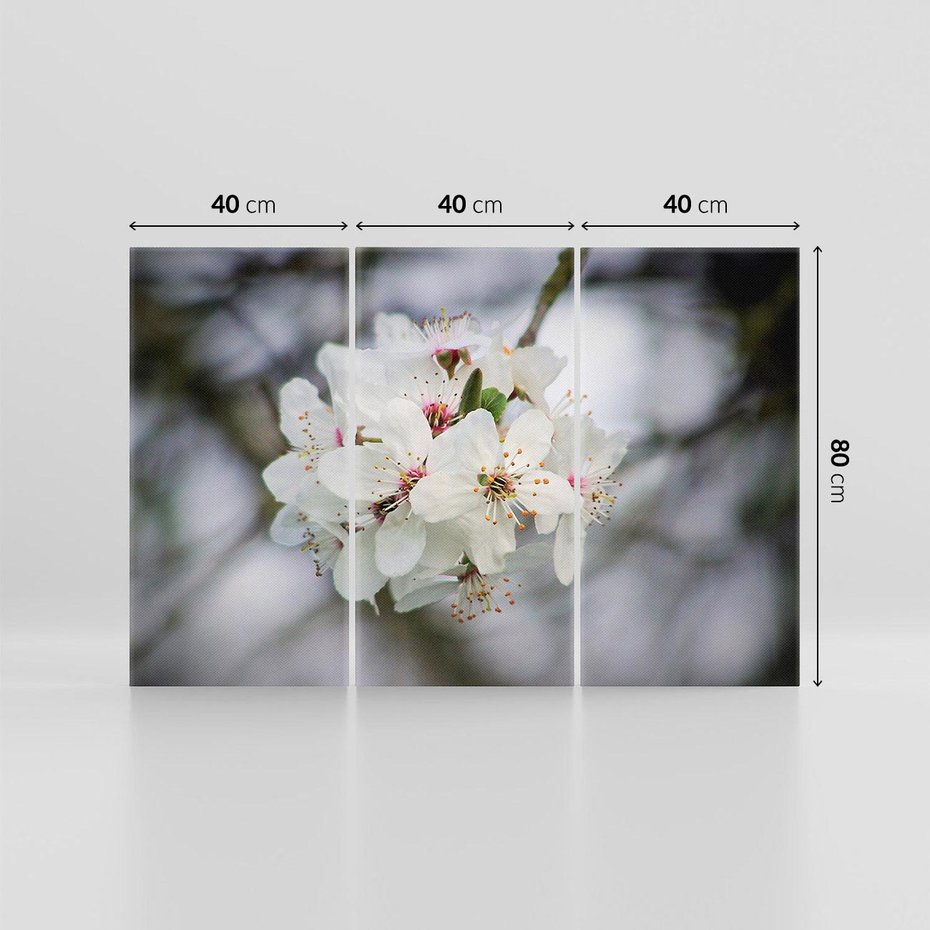 Obraz na płótnie 120x80 - Kwiatowa harmonia w tonacji pastelowej - kwiat, kwiaty