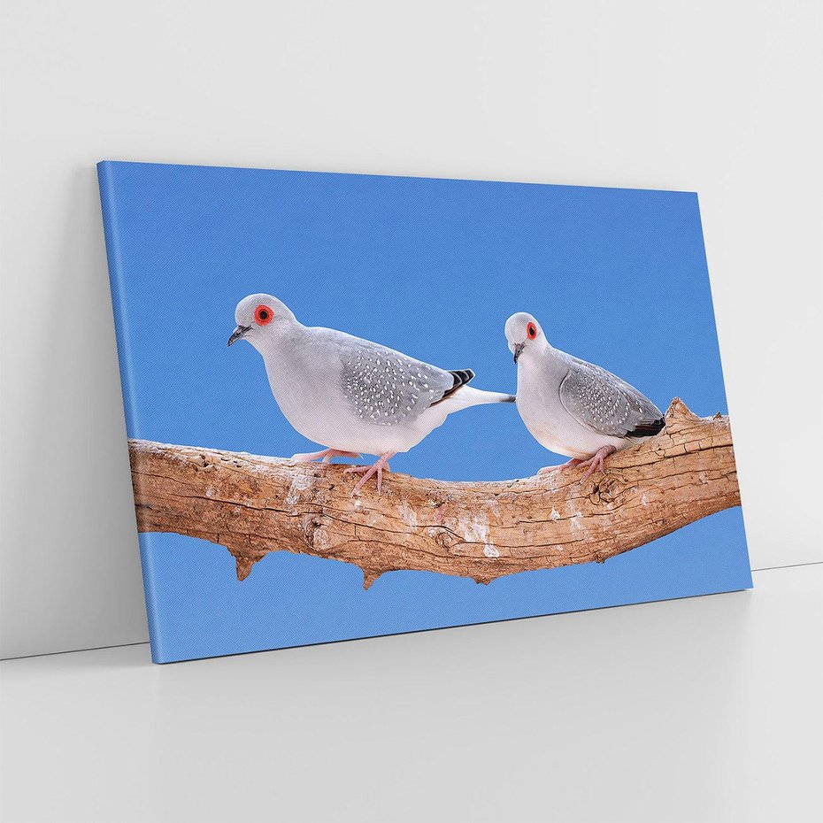 Obraz na płótnie 100x70 - Gołębie w locie - gołębie, gołąb