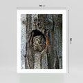 Plakat bez ramy 40x50 - Tajemniczy W świecie Nocy - sowa, dziupla