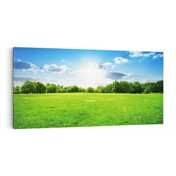 Obraz na płótnie 140x70 - Idylla na łące drzew - łąka, drzewa