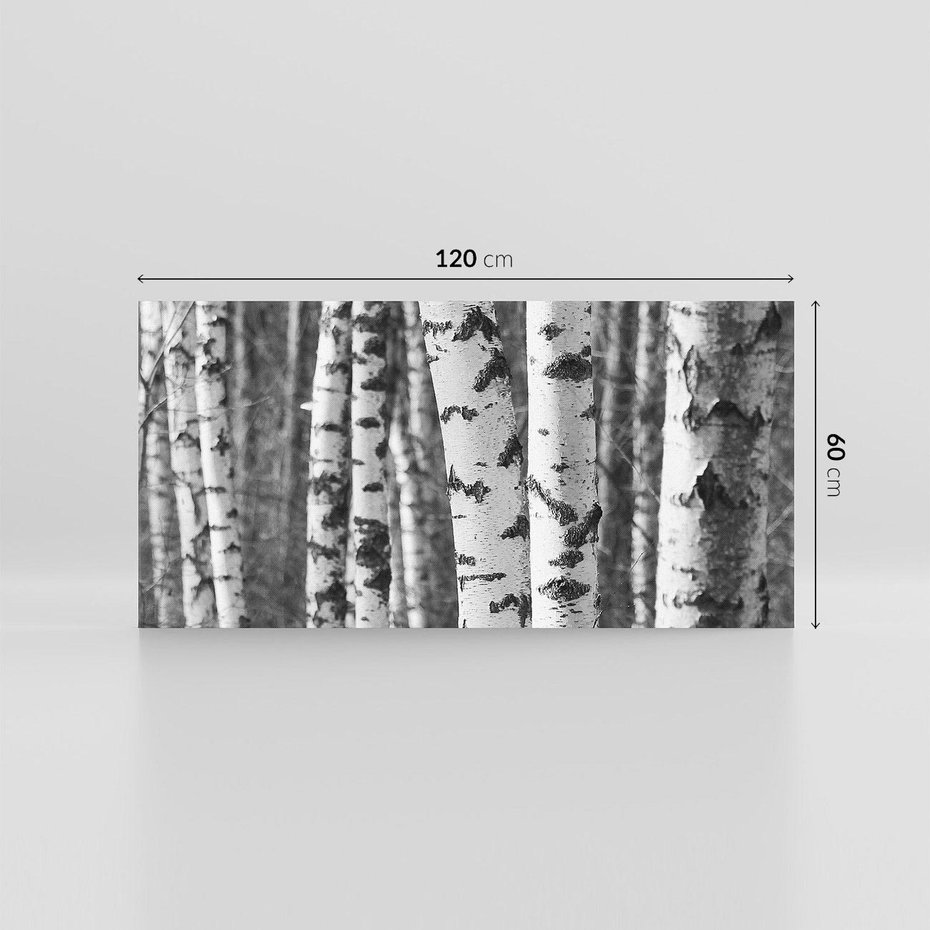 Obraz na płótnie 120x60 - Kontrast Monochromatyczny - brzozy, czarno