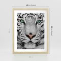 Plakat w ramie 40x50 - Magia Białego Tygrysa - biały, tygrys - rama drewno