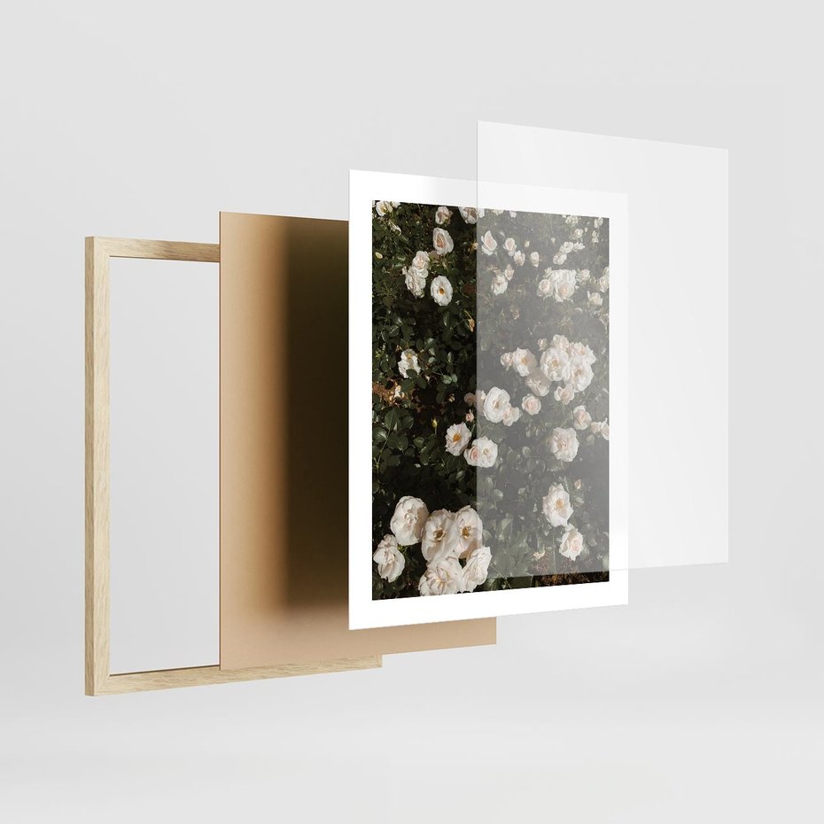 Plakat w ramie 40x50 - Czyste Piękno - białe kwiaty, białe róże - rama drewno