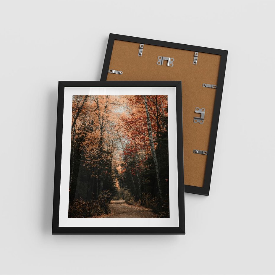 Plakat w ramie 40x50 - Drzewa w Czerwonych Liściach - las, jesienny las - rama czarna