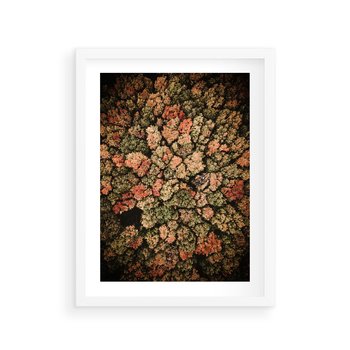 Plakat w ramie 40x50 - Jesień z Lotu Ptaka: Malowniczy Las - las jesienią z lotu ptaka - rama biała