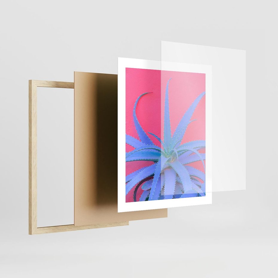 Plakat w ramie 40x50 - Piękno Pustyni - kaktusy, liście - rama drewno