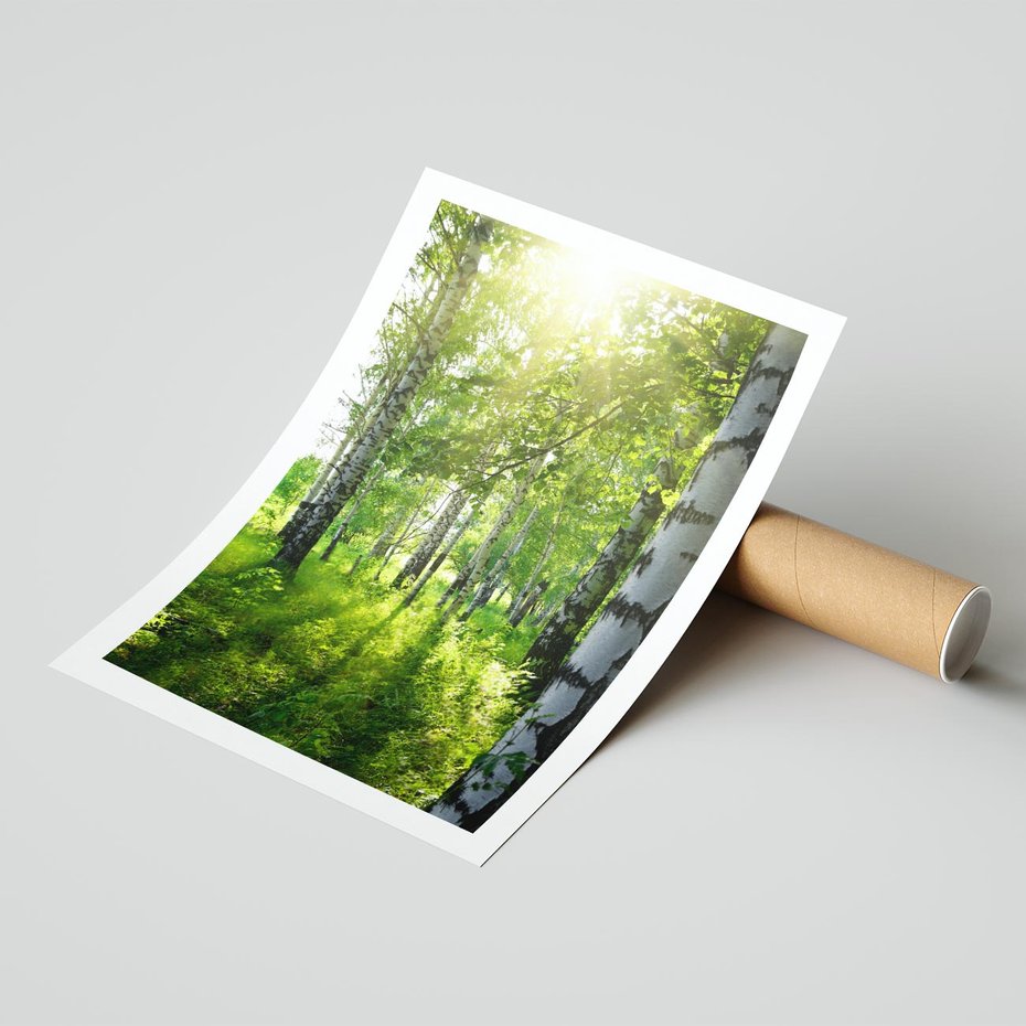 Plakat bez ramy 40x50 - Lasowa Księżycowa Noc - las, drzewa