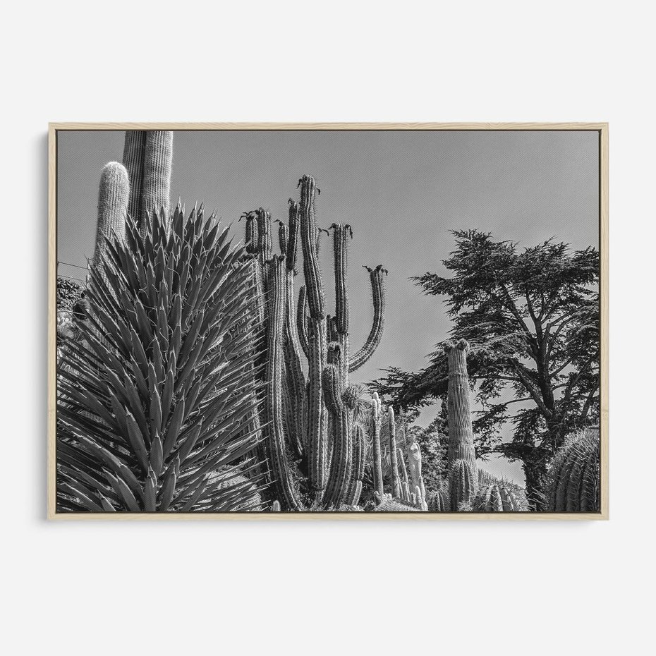 Obraz w ramie 100x70 - Pustynny Klimat - czarno białe zdjecie, pustynia - rama drewno