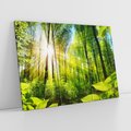 Obraz na płótnie 120x80 - Magia Leśnej Przyrody - las, drzewa