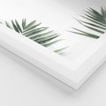 Plakat w ramie 30x40 - Liście Palmy na Czystym Tle - liście palmy, białe tło - rama biała