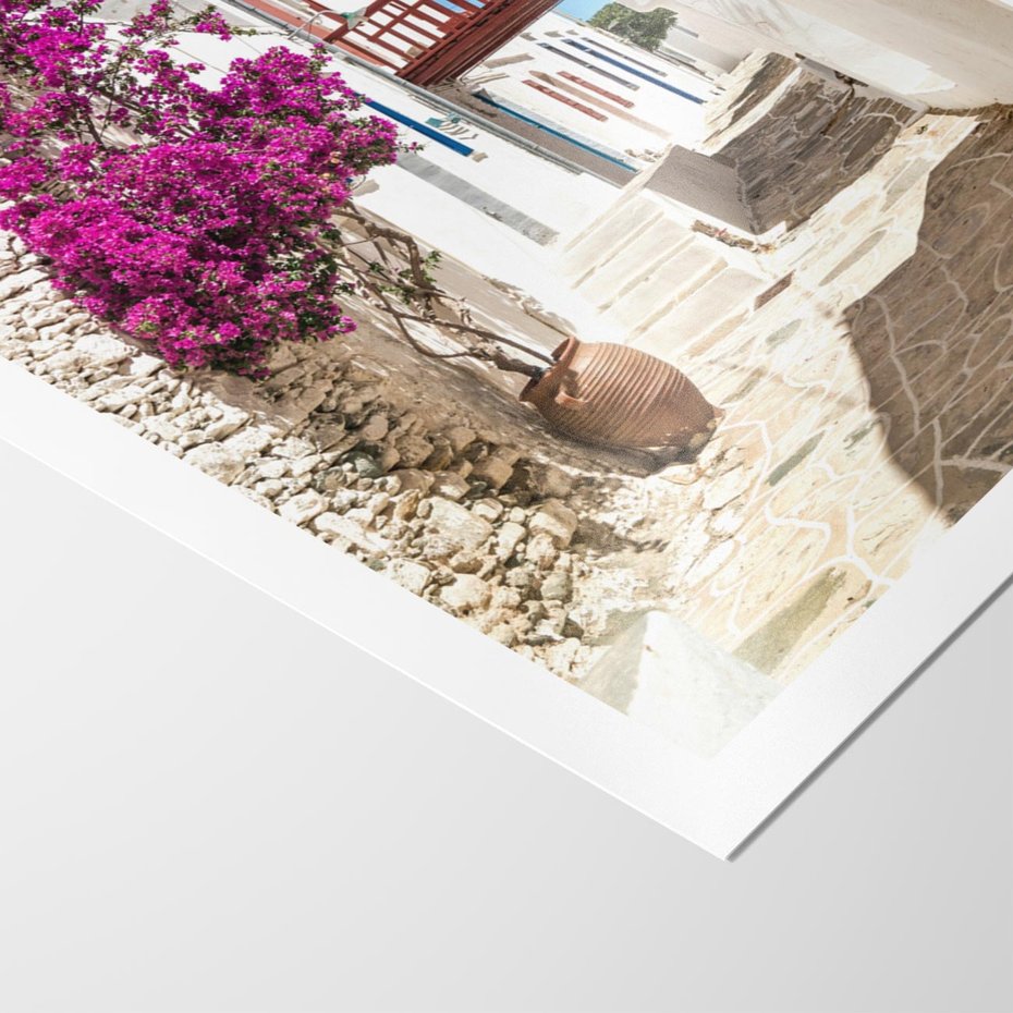 Plakat bez ramy 21x30 - Kwiaty Chorwacji - kwiaty, Chorwacja