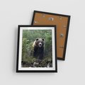 Plakat w ramie 40x50 - Spotkanie z Niedźwiedziem w Lesie - niedźwiedź, las - rama czarna