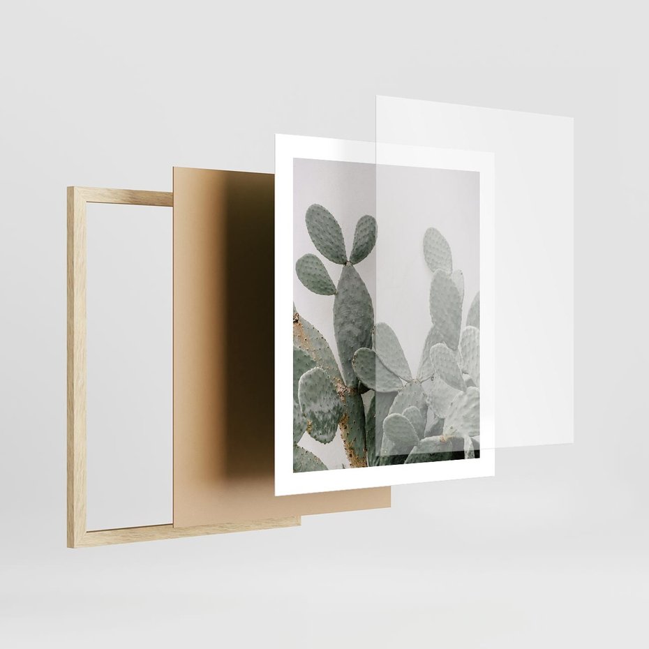 Plakat w ramie 40x50 - Imponujący Kaktus - duży kaktus, opuncja - rama drewno