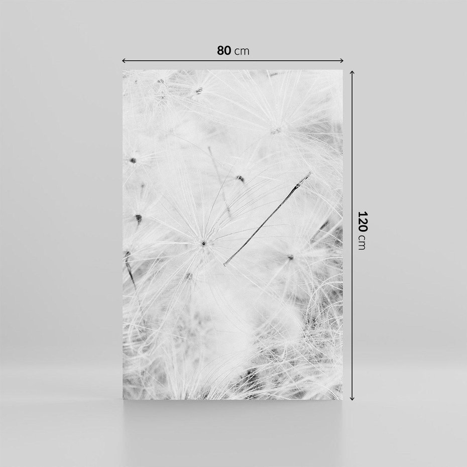 Obraz na płótnie 80x120 - Zdmuchnięty Puch - dmuchawce, delikatne