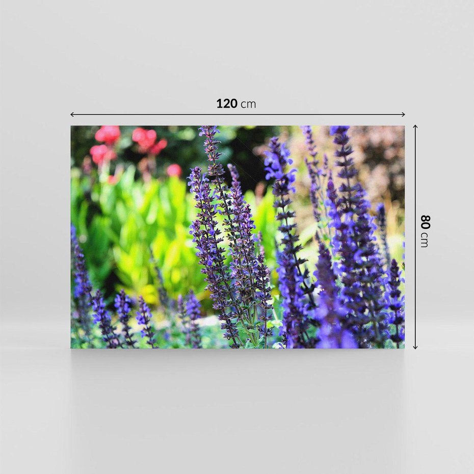 Obraz na płótnie 120x80 - Ogród Lawendowy - lawenda, kwiat