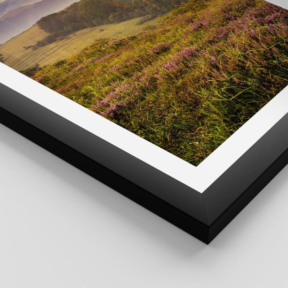 Plakat w ramie 30x40 - Pejzaż na łące - pejzaż, łąka - rama czarna