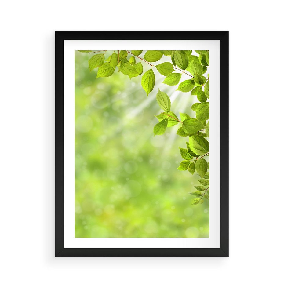 Plakat w ramie 50x70 - Zielone liście natury - liści, zieleń - rama czarna