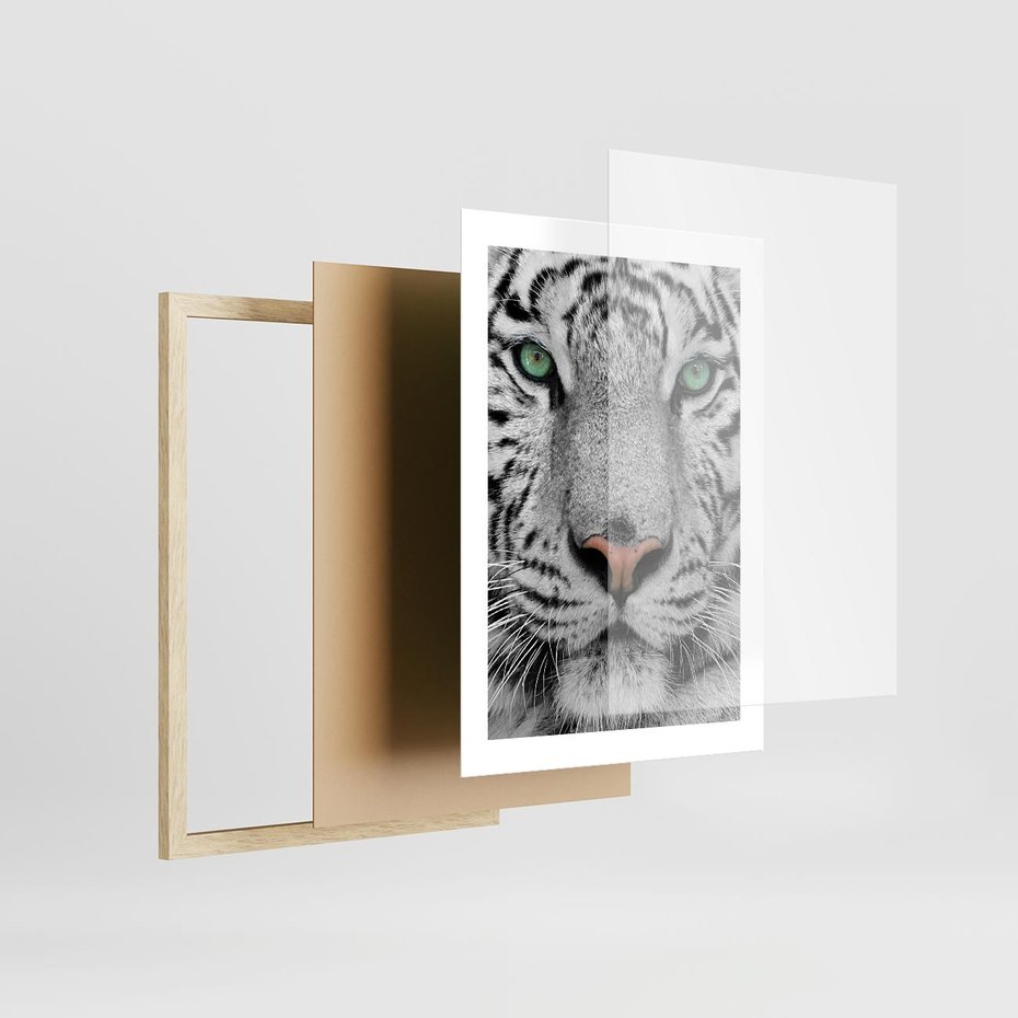 Plakat w ramie 30x40 - Magia Białego Tygrysa - biały, tygrys - rama drewno