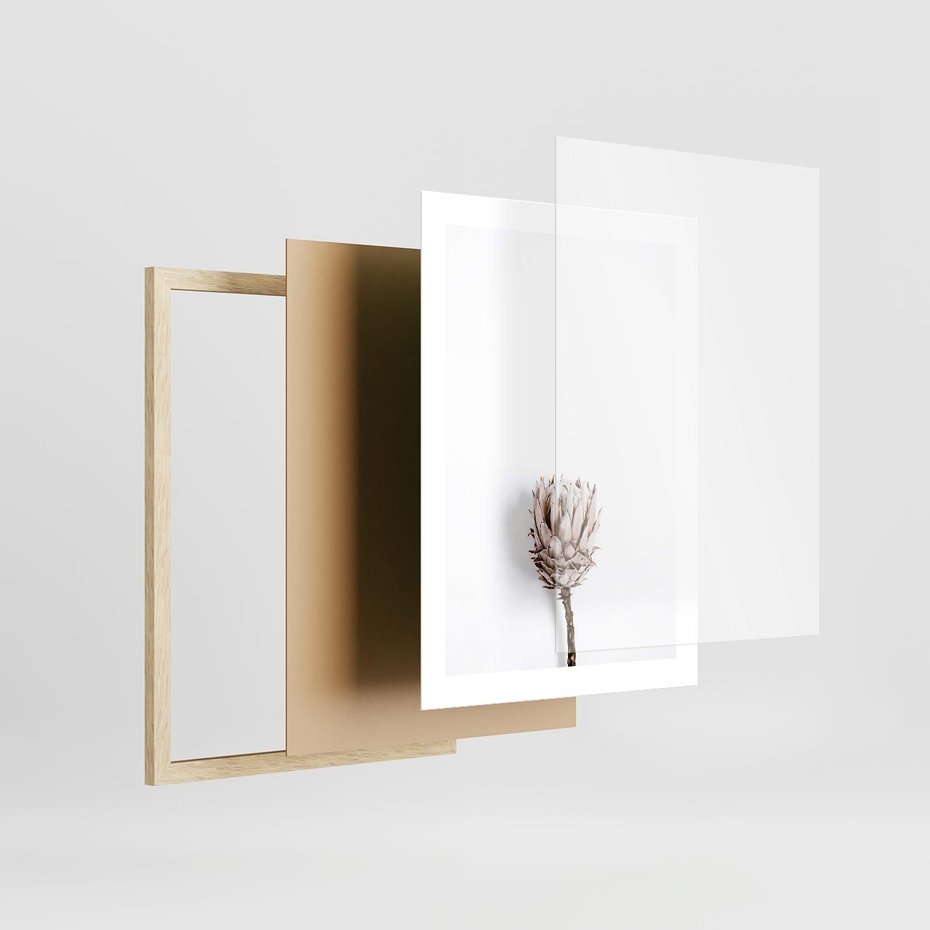 Plakat w ramie 30x40 - Suszona Roślina na Białym Tle - minimalizm, suszona roślina - rama drewno