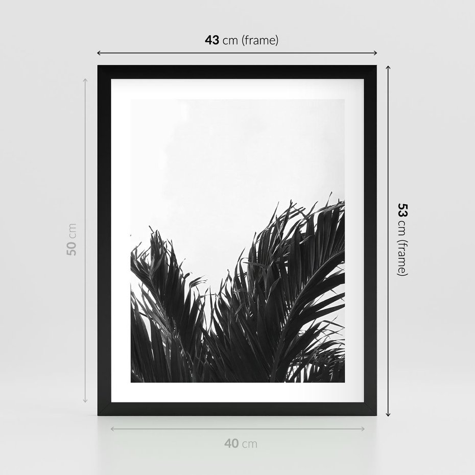 Plakat w ramie 40x50 - Tropikalna Uroda w Czerni i Bieli - fotografia czarno biała, liście palmy - rama czarna