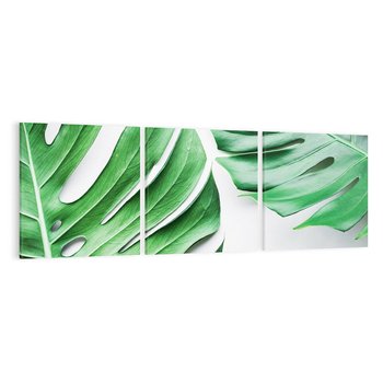 Obraz na płótnie 150x50 - Monstera - Liście Kwiaty - monstera, liście