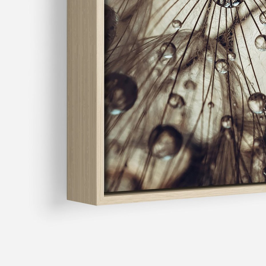 Obraz w ramie 80x120 - Lekkie dmuchawce - dmuchawce, krople - rama drewno