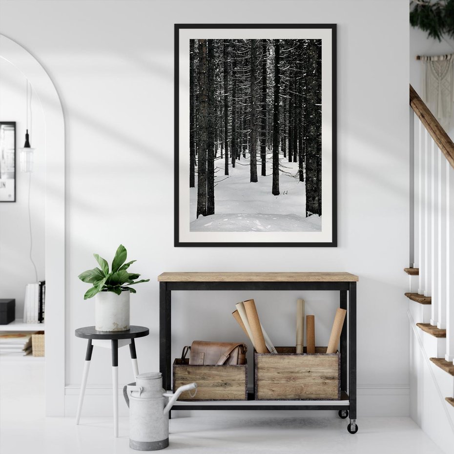 Plakat bez ramy 40x50 - Zimowe Drzewa: Śnieg na Pniach - drzew w zimi, pnie drzew