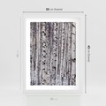 Plakat w ramie 30x40 - Lśniące Brzozy - brzozy, las - rama biała