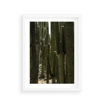 Plakat w ramie 50x70 - Wyjątkowy Klimat Boho - kaktusy, pustynia - rama biała