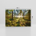 Obraz na płótnie 120x80 - Obfitość natury - las, drzewa