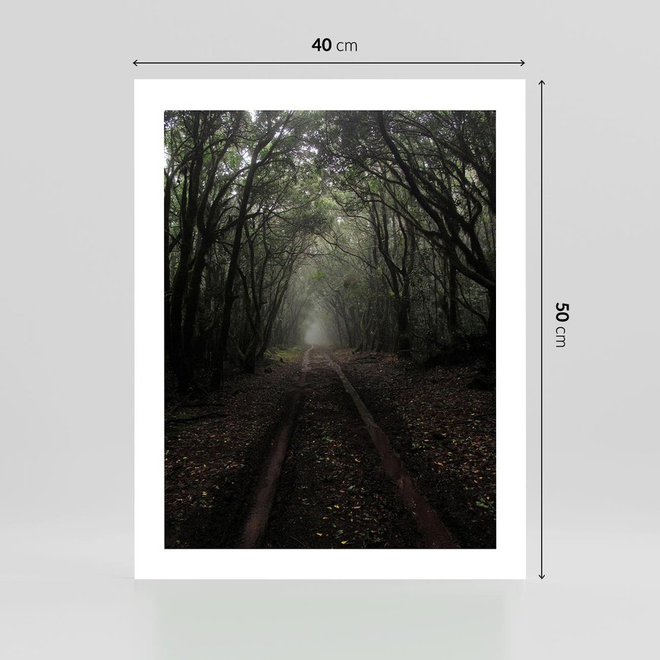 Plakat bez ramy 40x50 - Urok Drogi - las, droga