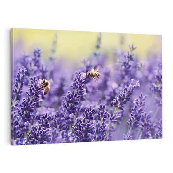 Obraz na płótnie 120x80 - Magia lawendy delikatne kwiaty - lawenda, kwiat