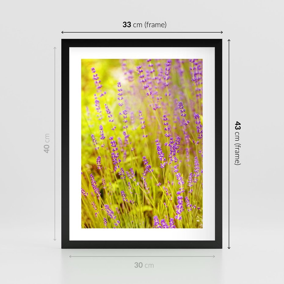 Plakat w ramie 30x40 - Delikatność natury - lawenda, kwiaty - rama czarna