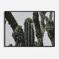Obraz w ramie 100x70 - Boho oaza wśród kaktusów - kaktusy, pustynia - rama czarna