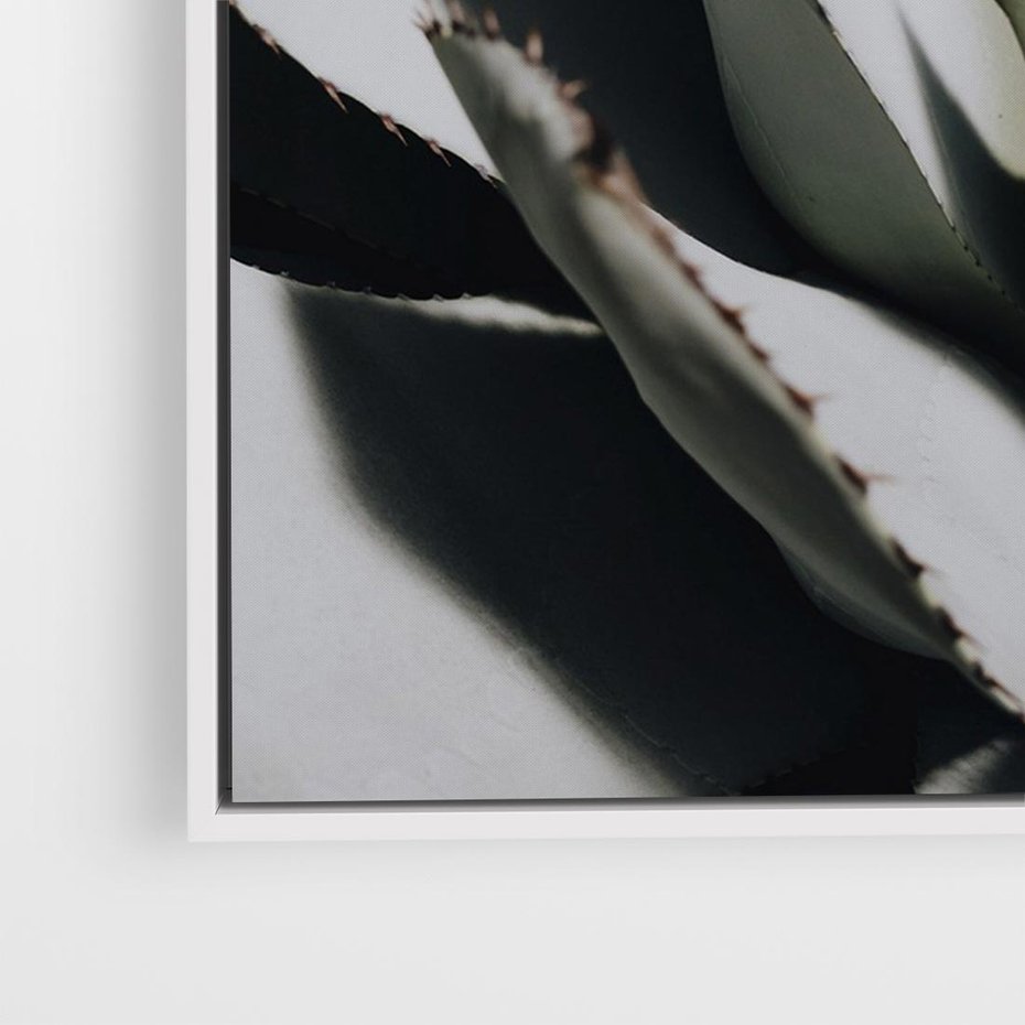 Obraz w ramie 70x50 - Sukulenty wśród kaktusów - sukulenty, kaktusy - rama biała