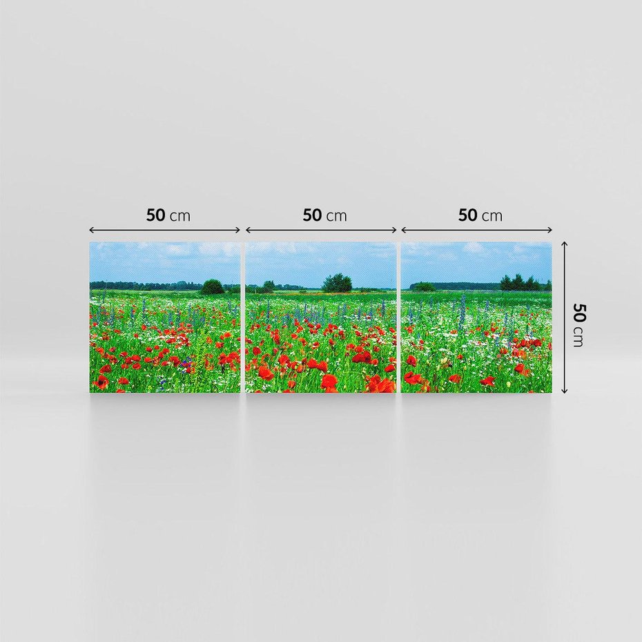 Obraz na płótnie 150x50 - Kolorowa łąka pełna maku - łąka, maki